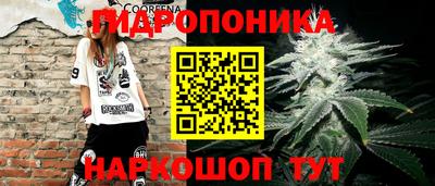 таблы Будённовск